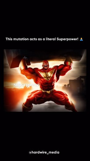 Hardwire Media on Instagram: "Leave your thoughts! 👇 Liam Hoekstra, known as the “World’s Strongest Toddler,” has myostatin-related muscle hypertrophy, a rare genetic condition that causes reduced body fat and significantly increased muscle mass without the usual trade-offs in health or intellect. Thanks to a mutation in the MSTN gene, which normally limits muscle growth, Liam naturally developed greater muscle bulk from an early age. Remarkably, there are no known medical downsides to this con