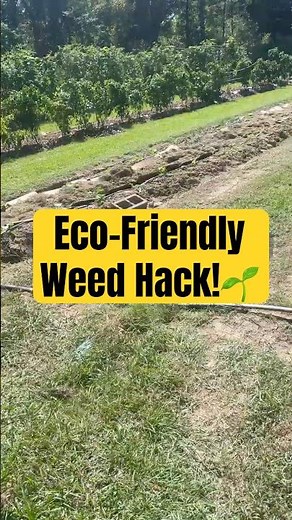 Eco-Friendly Weed Control: Grass Clippings + Cardboard Mulch Explained #WeedControl ￼#GardeningTips￼
