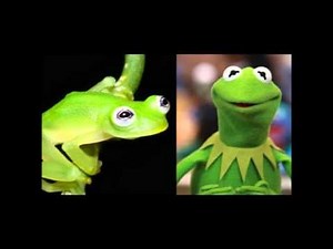 Jim Henson's Honky Tonk Piano Music