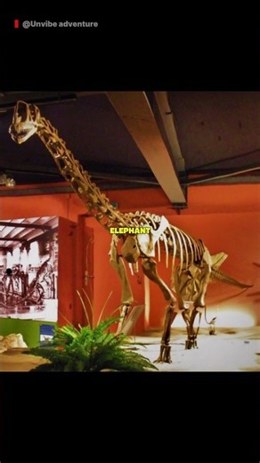 The Smallest Sauropods Ever Found 😳