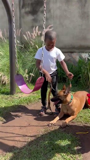 Dog protecting a child
