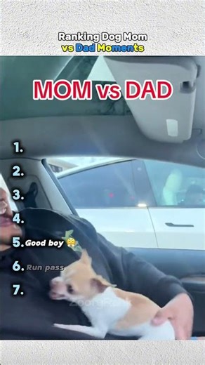 Ranking Dog Mom vs Dog Dad Moments #shorts #animals #dog #pets