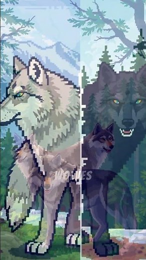 fascinating facts about wolves and their habitat