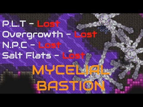 Mycelial Bastion
