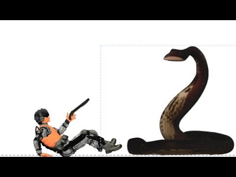 SNAKES AND SNAKE LADDERS|fortnite