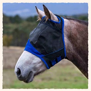 3.8K views · 17 reactions | Looking for the perfect fly mask to protect your horse? We’re excited to introduce our new Fly Masks - available in 5 different styles. Discover the new range today! | Caribu Horse Wear | Facebook