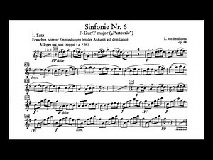 BEETHOVEN 6th Symphony - Clarinet Excerpts (Iván Villar Sanz)