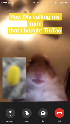 #memes #funny #facetime