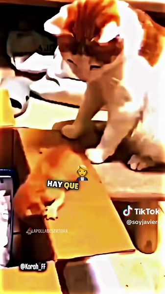 Korah Doblajes: Humor y Comedia en Videos Graciosos