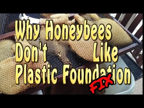 Why Aren't The Bees Building Comb / Plastic Foundation Issues FIXED