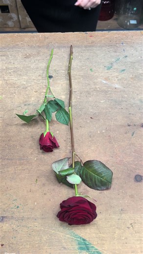 WATCH 👀👀 FLORIST VS SUPERMARKET.. Wait til you see the difference!!! This is why we carefully select our stems… and care for each and every one of them!! ♥️ #roses #valentines #valentinesday #redroses #florist #luxuryflorist #flowers #flowershop #flowerdelivery