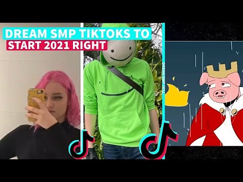 Dream SMP TikToks To Start 2021 Right