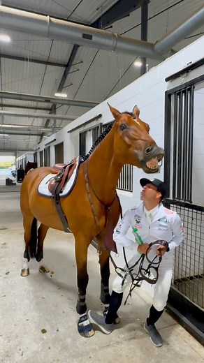1.1M views · 10K reactions | This one’s for you Snoop Dogg ..You know Verssage & Dressage but do you know Grand Priage Saturday night Grand Prix ‘D O double G’ style at the World Equestrian Center - Ocala @topfans #snoopdog #calling #horses #showjumping #grandprix #showjumper #theworldequestriancenter #saturdaynight #getready #letsgo #fyp #follow #share #letsgetit #grandpriage | German Riding Instructor | Facebook