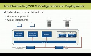 Server Patching & Updating