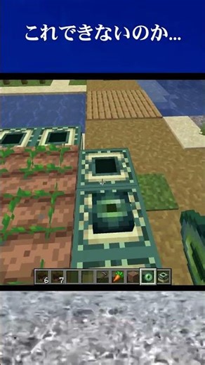 エンドポータルのバグを検証してみた結果...#minecraft #マイクラ #shorts #検証