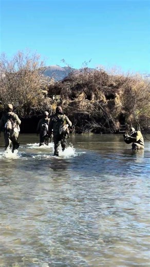 The only place you want to be to kill ducks #duckhunting #waterfowl #ducks #duckseason