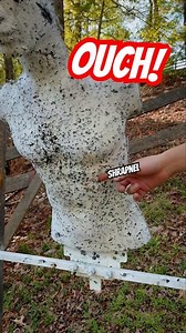 This Is Why Steel Target Safety Matters…