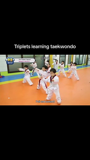 Triplets Learning Taekwondo: The Return of Superman