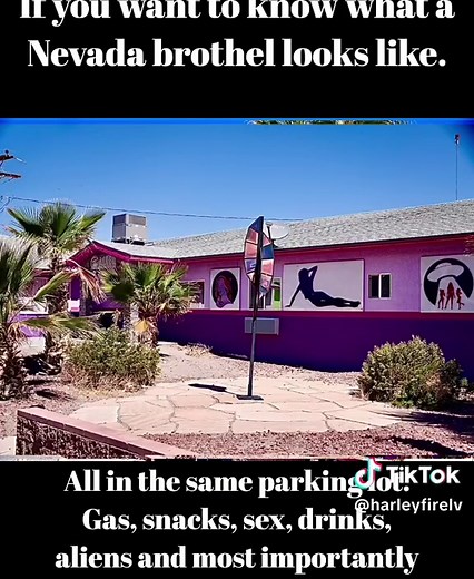 Exploring a Unique Nevada Brothel Experience