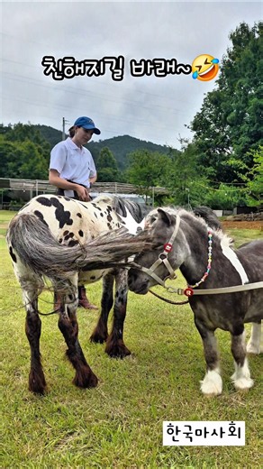 Healing Farm Guide Wally 🦄🌿 I visited the Epaco Farm Healing Agriculture Expo in Nonsan~!