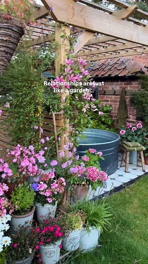 Annabelle Rogers on Instagram: "As I walked through the garden yesterday, I thought how very similar it was to Marriage and relationships. Just as a garden requires nurturing, weeding, and attention to thrive, relationships need constant effort, communication, and understanding to thrive. Our relationship has suffered since I flew to the Philippines. Firstly Distance. Then illness & jet lag when I returned, immediate events coupled with work exploding, football trips away with kids in the hotel