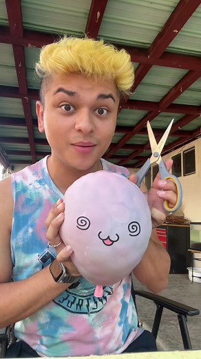 Exploding Giant Stress Ball Cat Experiment!