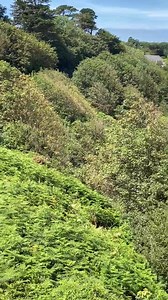 St Erth to St Ives via Carbis Bay might just be one of the most beautiful train journeys you’ll ever take 💚🚞🏝 | Carbis Bay Estate