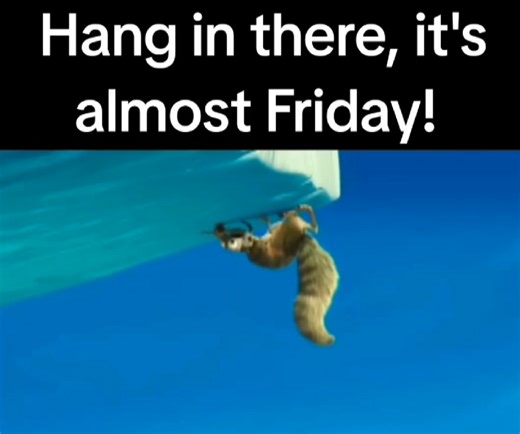 38K views · 411 reactions | Happy Thursday  #humor #funnyvideo #funny #memes #workhumor #memesdaily #thursdayhumor #thursday #iceage | Funny thoughts and jokes. | Facebook