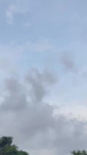 Free Fire: Les Meilleurs Moments de Shuffle