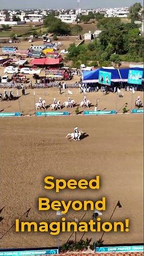 The Power of a Galloping Horse 🐎⚡ Incredible Speed & Strength #shortsfeeds #horse #animals