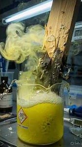 The Shocking Truth About Your Stomach Acid! #biology #stomachproblem #viralshorts