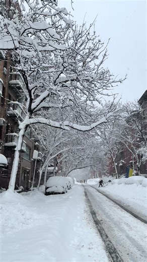 Wonder Years Weather: Embracing Snow and Pop Punk