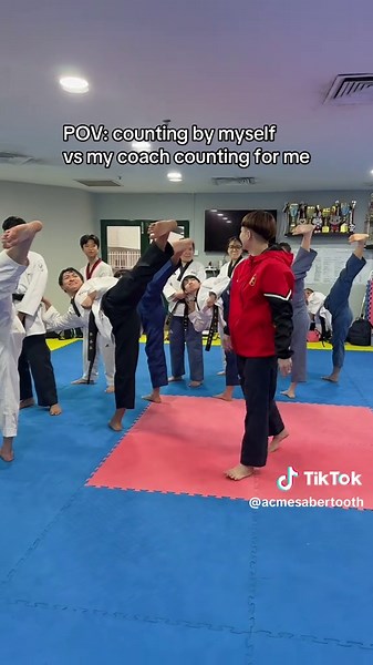 Taekwondo Training: Counting Techniques with Coach