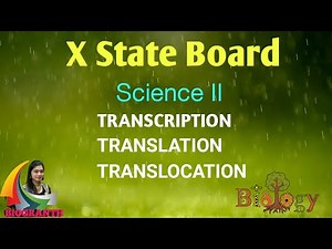 Transcription, Translation and Translocation : 10th State Board (Science-2)