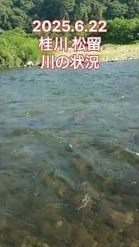 【鮎釣り】2025.6.22 桂川 松留 川の状況#short