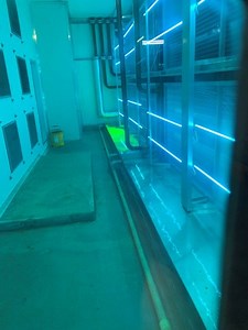 How to Size U-Trap - AS/NZS 3666.1 - Practical HVAC