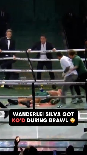 Happy Punch on Instagram: "Former UFC fighter Wanderlei Silva just got knocked out COLD in an all-out brawl 🤯"