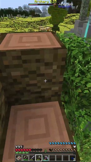 Gravity Defies Us... || Roguelike Adventures & Dungeons 2