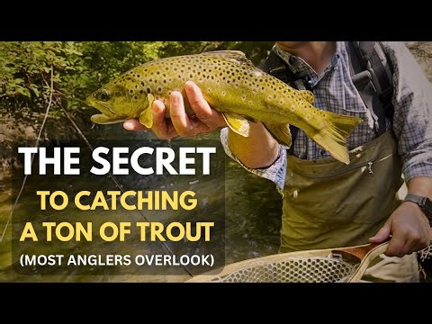 Catching a TON of Trout the Easy Way!