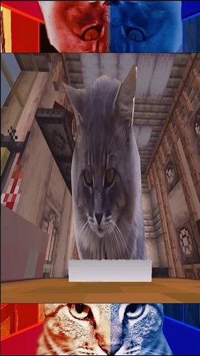 Cat Ascends into the Aether #cat #foryou #adoreble #meme #animals #minecraft