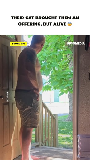 26K views · 305 reactions | The end is truly terrifying | Meow Meow | Facebook