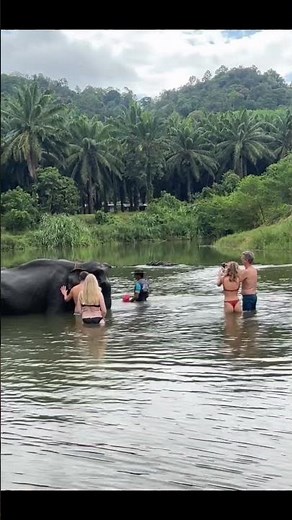 Let's Take Amazing Tour Of Khao Sok: Thailand