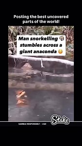 128K views · 233K reactions | I didn’t even think snake like that could exist 勞 #viral #snake #enormous #insane #big #explore #anaconda #reels #fyp #thoughts | Revealing the Truth | Facebook