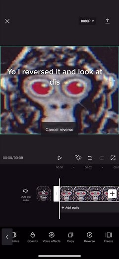 Mysterious PBBV Sightings: What Is PBBV Watching?