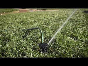 Rain Bird LG3HE In-ground sprinkler with Click-n-Go Hose Connect