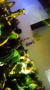 17 reactions | Excelente presentación de " O POSITIVO " solo aquí en SELFIE CLUB. | Plaza foch | Facebook