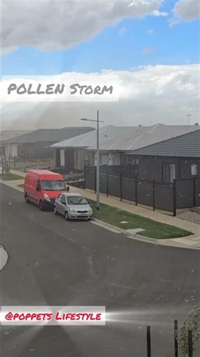 This Isn’t Dust..It’s a Pollen Storm! Melbourne West 🤔#pollen#storm#shorts#shortsfeed#viralshorts