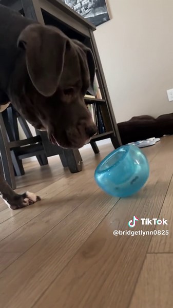 BridgetLynn on TikTok