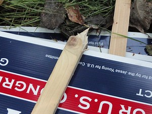 Missing Campaign Signs Frustrate Candidates
