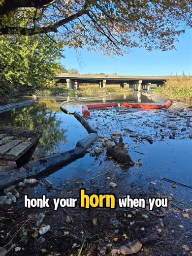 3.7K views · 141 reactions | Show us some love when you cross the bridge! #itsallabouttheriver | Back River Restoration Committee | Facebook